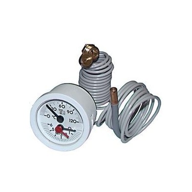 Termohidrometro caldera FERROLI COD 39802620