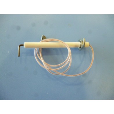 ELECTRODO DE DETECCION