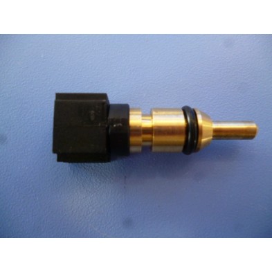 SONDA ZWB30-2C31