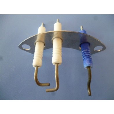 CONJUNTO ELECTRODOS ZWB30-2C31