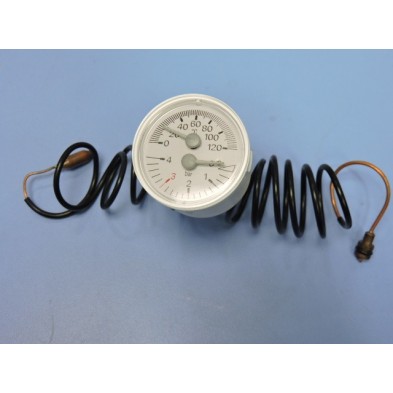 TERMOMANOMETRO R2468