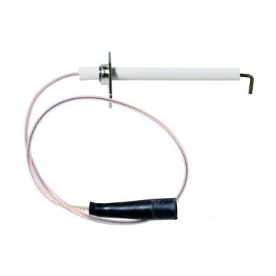 ELECTRODO ENCENDIDO R10025985