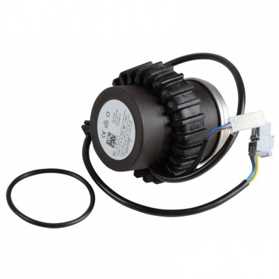 MOTOR BOMBA SANITARIA