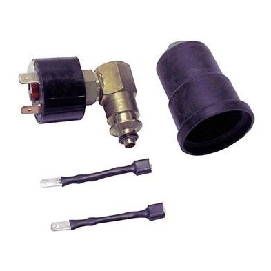 MICROINTERUPTOR THEMA